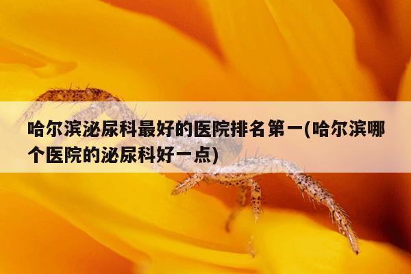 哈尔滨泌尿科最好的医院排名第一(哈尔滨哪个医院的泌尿科好一点)