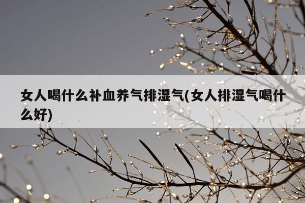 女人喝什么补血养气排湿气(女人排湿气喝什么好)