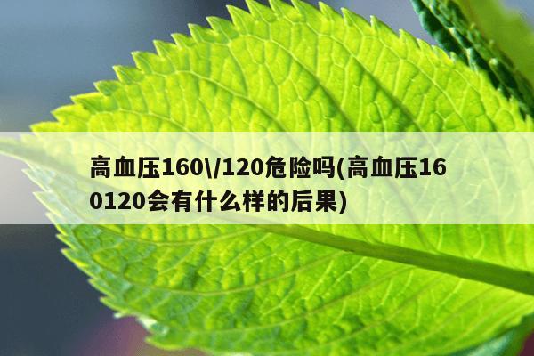 高血压160\/120危险吗(高血压160120会有什么样的后果)