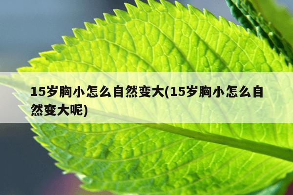 15岁胸小怎么自然变大(15岁胸小怎么自然变大呢)