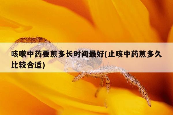 咳嗽中药要煎多长时间最好(止咳中药煎多久比较合适)