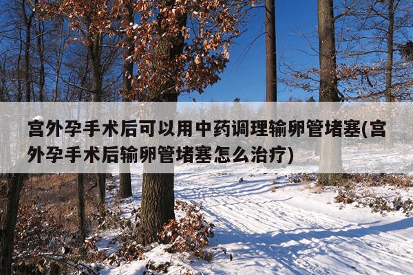 宫外孕手术后可以用中药调理输卵管堵塞(宫外孕手术后输卵管堵塞怎么治疗)