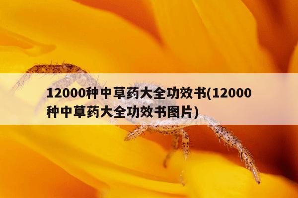 12000种中草药大全功效书(12000种中草药大全功效书图片)