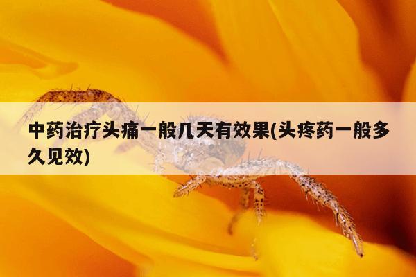 中药治疗头痛一般几天有效果(头疼药一般多久见效)