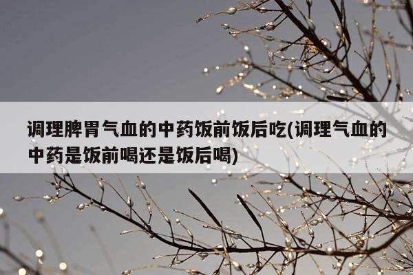 调理脾胃气血的中药饭前饭后吃(调理气血的中药是饭前喝还是饭后喝)