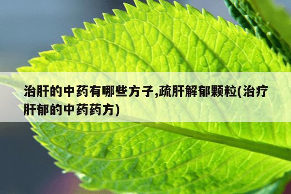 治肝的中药有哪些方子,疏肝解郁颗粒(治疗肝郁的中药药方)