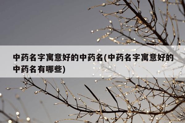中药名字寓意好的中药名(中药名字寓意好的中药名有哪些)