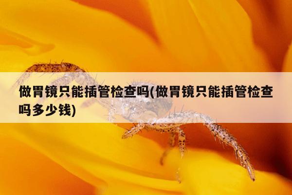 做胃镜只能插管检查吗(做胃镜只能插管检查吗多少钱)