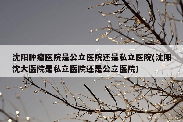 沈阳肿瘤医院是公立医院还是私立医院(沈阳沈大医院是私立医院还是公立医院)