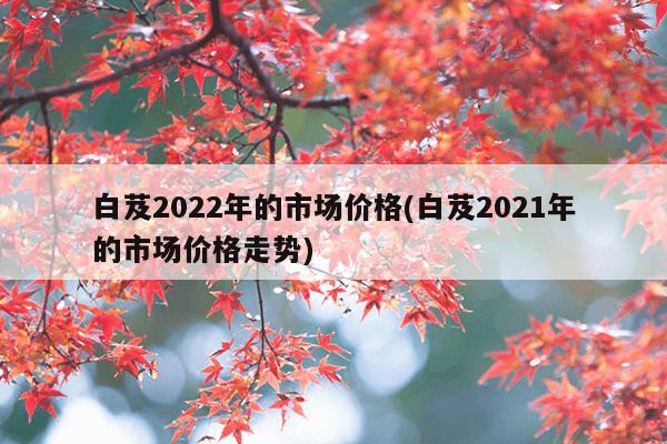 白芨2022年的市场价格(白芨2021年的市场价格走势)