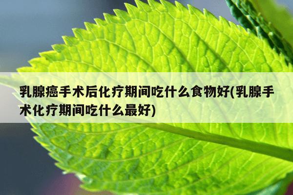 乳腺癌手术后化疗期间吃什么食物好(乳腺手术化疗期间吃什么最好)