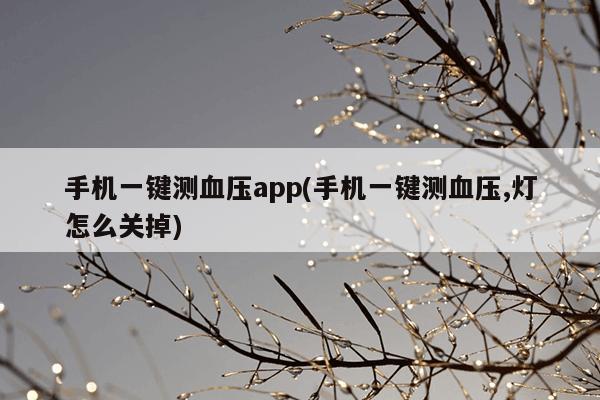 手机一键测血压app(手机一键测血压,灯怎么关掉)
