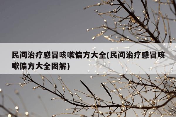 民间治疗感冒咳嗽偏方大全(民间治疗感冒咳嗽偏方大全图解)