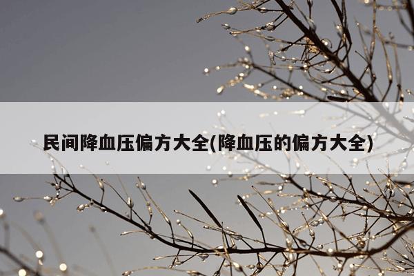 民间降血压偏方大全(降血压的偏方大全)