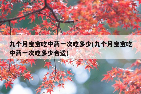 九个月宝宝吃中药一次吃多少(九个月宝宝吃中药一次吃多少合适)