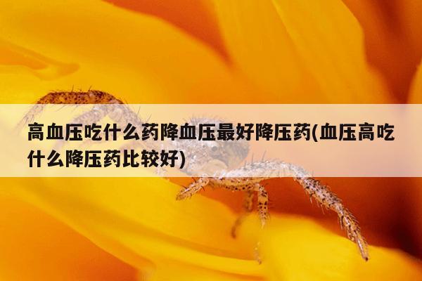 高血压吃什么药降血压最好降压药(血压高吃什么降压药比较好)