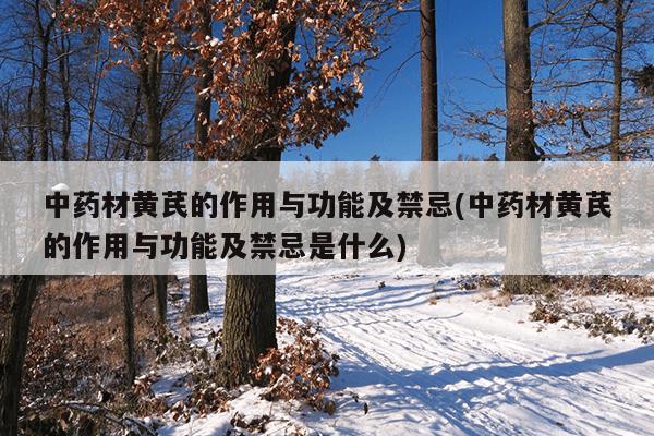 中药材黄芪的作用与功能及禁忌(中药材黄芪的作用与功能及禁忌是什么)