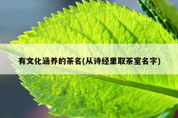 有文化涵养的茶名(从诗经里取茶室名字)