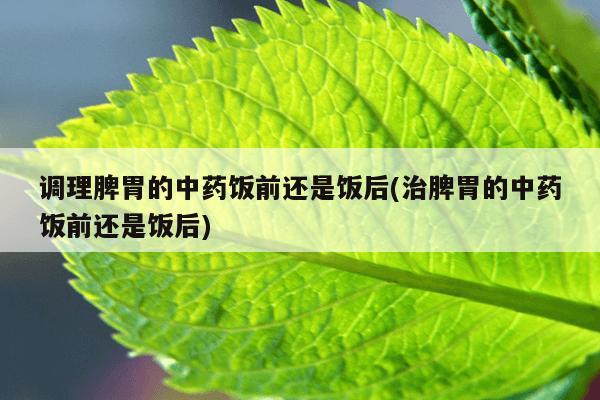 调理脾胃的中药饭前还是饭后(治脾胃的中药饭前还是饭后)