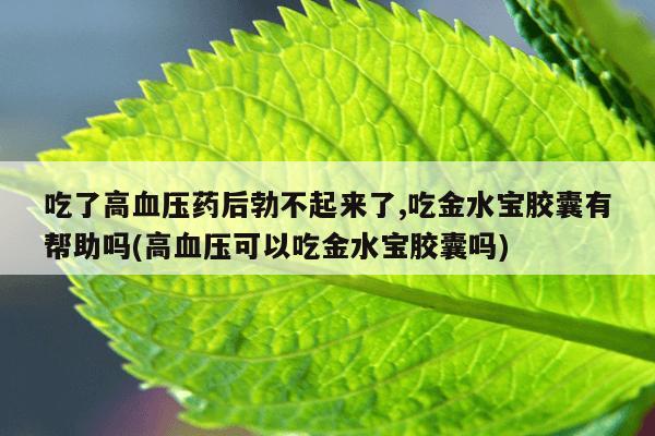吃了高血压药后勃不起来了,吃金水宝胶囊有帮助吗(高血压可以吃金水宝胶囊吗)
