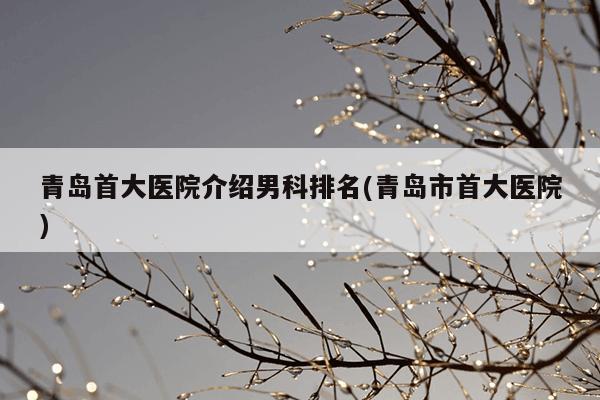 青岛首大医院介绍男科排名(青岛市首大医院)