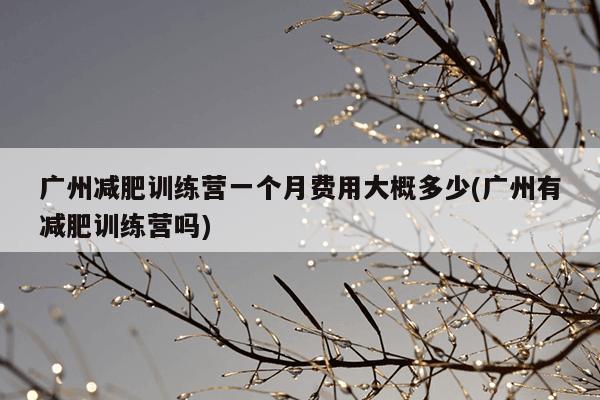 广州减肥训练营一个月费用大概多少(广州有减肥训练营吗)