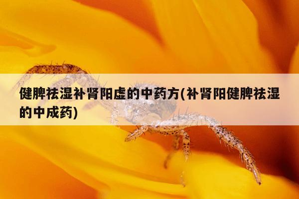 健脾祛湿补肾阳虚的中药方(补肾阳健脾祛湿的中成药)