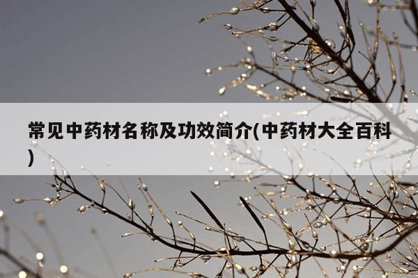 常见中药材名称及功效简介(中药材大全百科)
