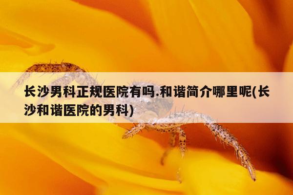 长沙男科正规医院有吗.和谐简介哪里呢(长沙和谐医院的男科)