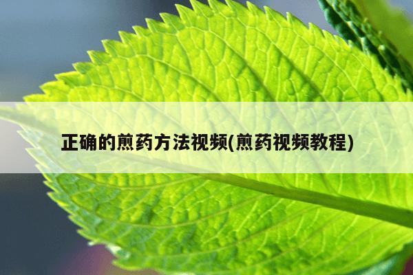 正确的煎药方法视频(煎药视频教程)