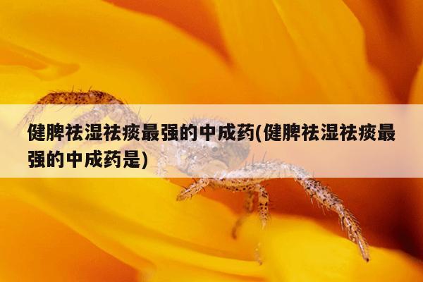健脾祛湿祛痰最强的中成药(健脾祛湿祛痰最强的中成药是)