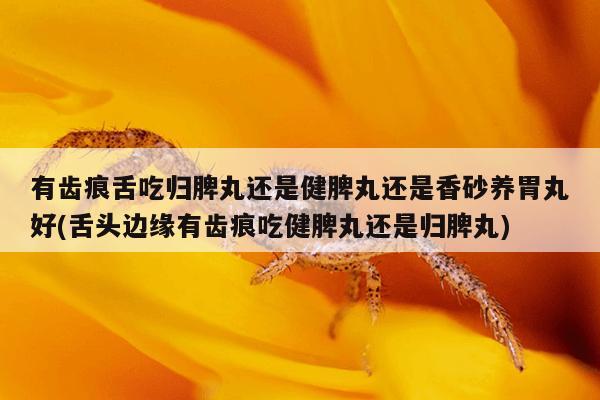 有齿痕舌吃归脾丸还是健脾丸还是香砂养胃丸好(舌头边缘有齿痕吃健脾丸还是归脾丸)