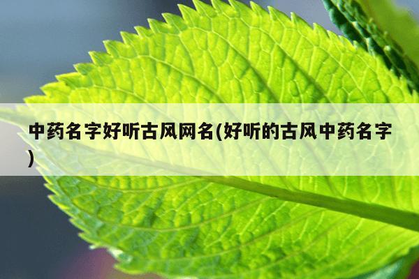 中药名字好听古风网名(好听的古风中药名字)