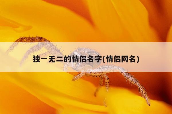 独一无二的情侣名字(情侣网名)