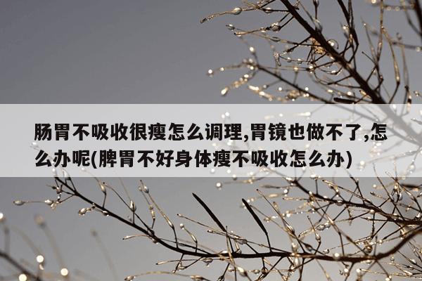 肠胃不吸收很瘦怎么调理,胃镜也做不了,怎么办呢(脾胃不好身体瘦不吸收怎么办)