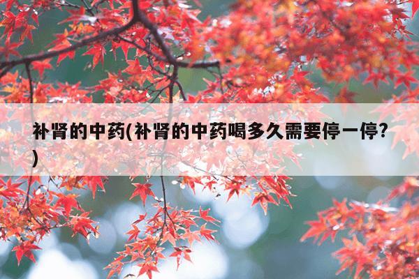 补肾的中药(补肾的中药喝多久需要停一停?)