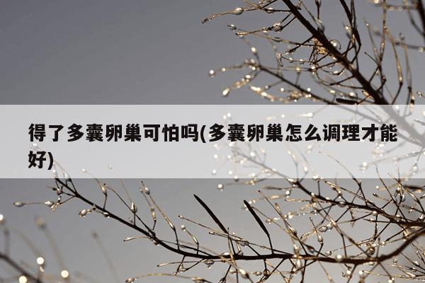 得了多囊卵巢可怕吗(多囊卵巢怎么调理才能好)