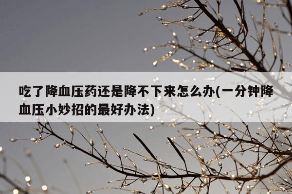 吃了降血压药还是降不下来怎么办(一分钟降血压小妙招的最好办法)