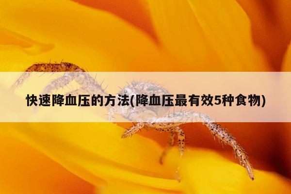 快速降血压的方法(降血压最有效5种食物)