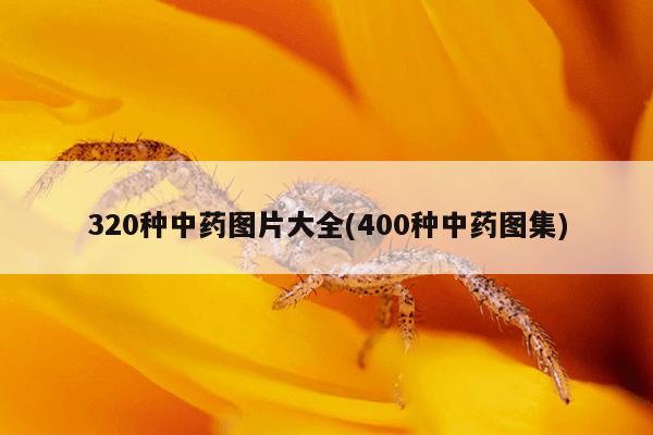320种中药图片大全(400种中药图集)