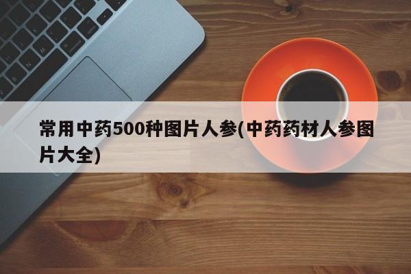 常用中药500种图片人参(中药药材人参图片大全)