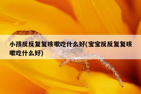 小孩反反复复咳嗽吃什么好(宝宝反反复复咳嗽吃什么好)