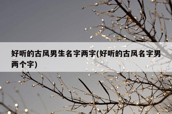 好听的古风男生名字两字(好听的古风名字男两个字)
