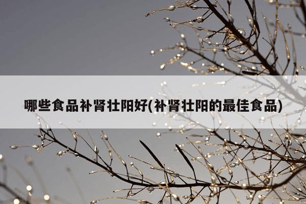 哪些食品补肾壮阳好(补肾壮阳的最佳食品)