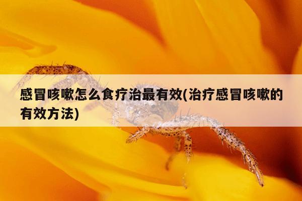 感冒咳嗽怎么食疗治最有效(治疗感冒咳嗽的有效方法)