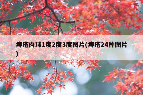 痔疮肉球1度2度3度图片(痔疮24种图片)