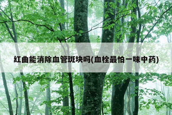 红曲能消除血管斑块吗(血栓最怕一味中药)