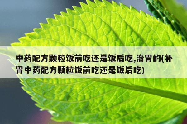 中药配方颗粒饭前吃还是饭后吃,治胃的(补胃中药配方颗粒饭前吃还是饭后吃)