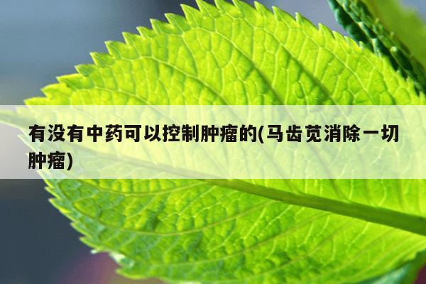 有没有中药可以控制肿瘤的(马齿苋消除一切肿瘤)