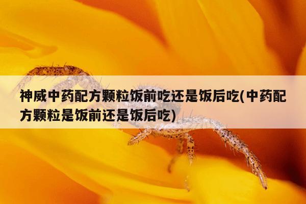 神威中药配方颗粒饭前吃还是饭后吃(中药配方颗粒是饭前还是饭后吃)